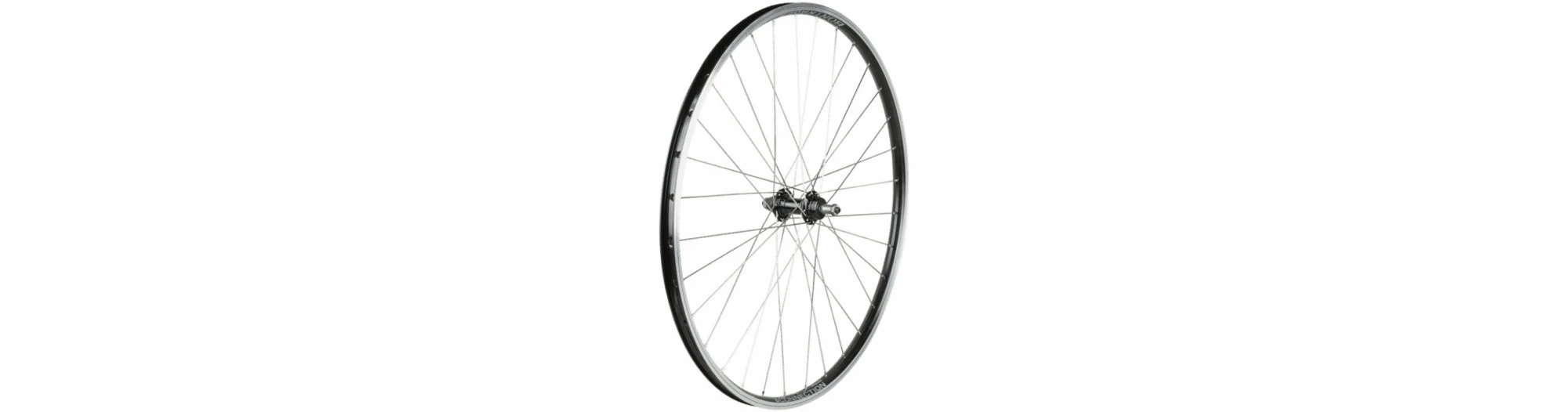 BONTRAGER Roue Arrière Pour Roue Libre à Visser Connection 29" 3 BONTRAGER Roue Arrière Pour Roue Libre à Visser Connection 29"