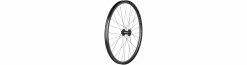 BONTRAGER Roue Avant Line Carbon 30 TLR 29 Boost 110